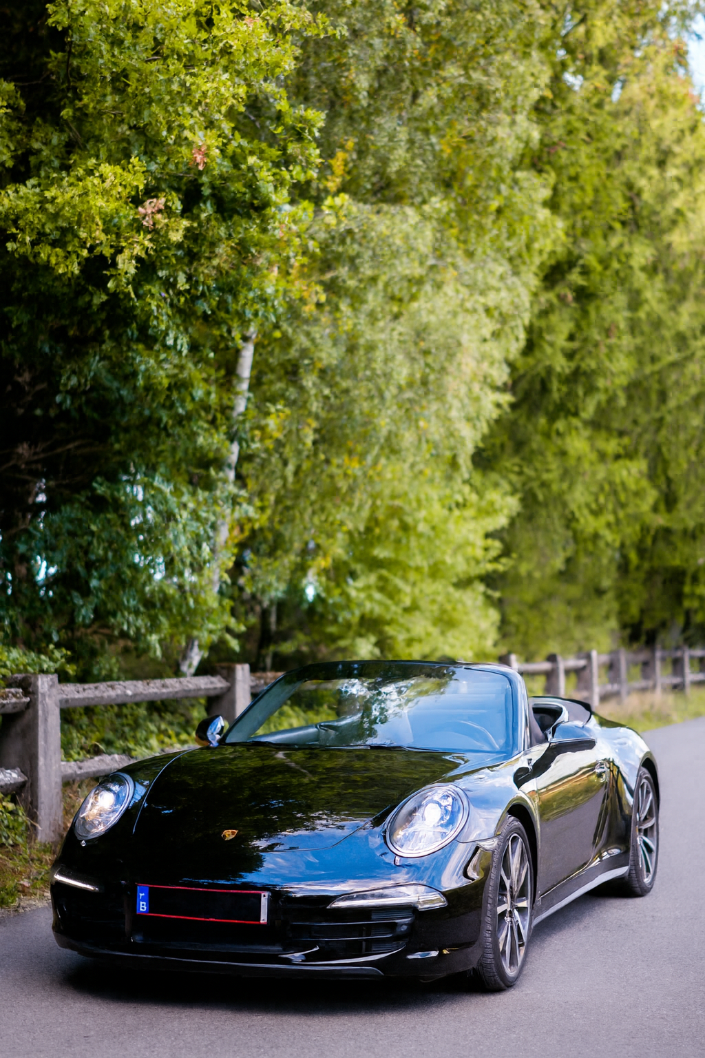Porsche Carrera 4